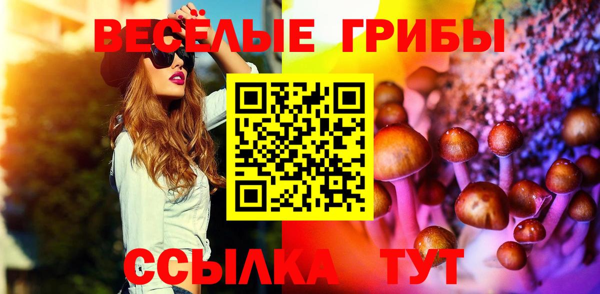 Югорск  Псилоцибиновые грибы мухоморы  Вход с VPN 