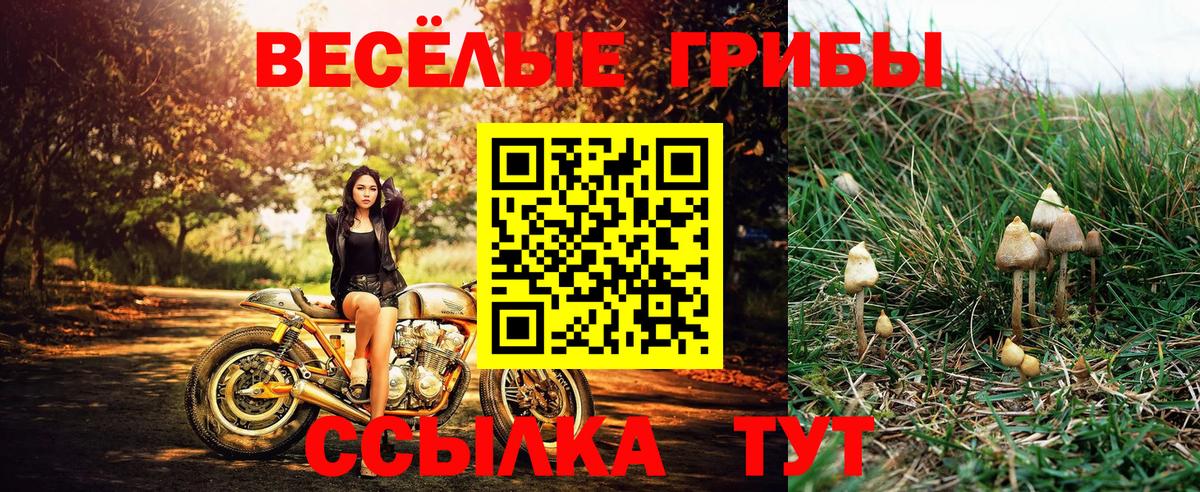Псилоцибиновые грибы MAGIC MUSHROOMS Югорск